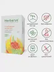 Чайный напиток Herbarus "Имбирная Энергия", 24 пакетика