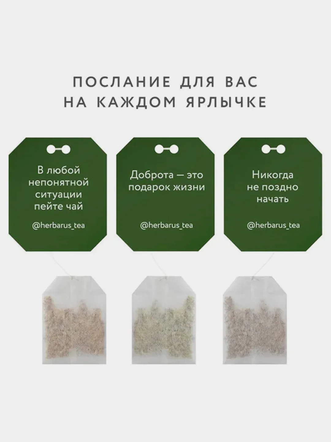 Чайный напиток Herbarus "Имбирная Энергия", 24 пакетика