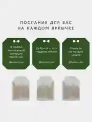Чайный напиток Herbarus "Имбирная Энергия", 24 пакетика