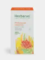 Чайный напиток Herbarus "Имбирная Энергия", 24 пакетика