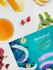 Чайное Ассорти Herbarus "Пожелания" Grand Secret, 60 пакетиков