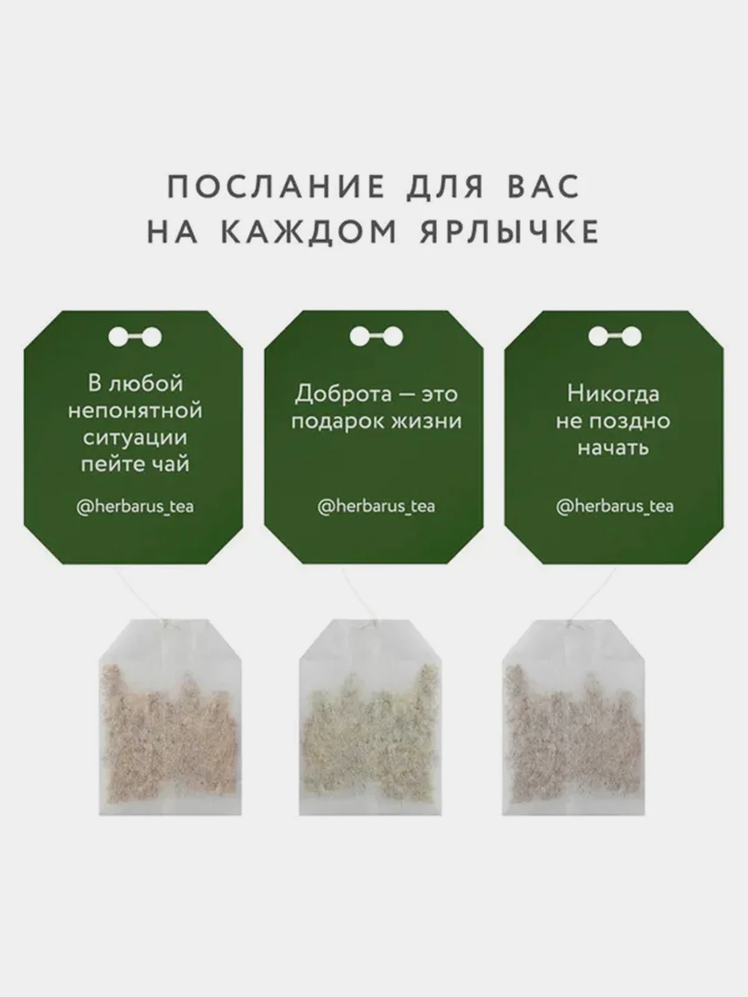 Чай зеленый китайский Herbarus, 24 пакетика