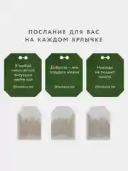 Чай зеленый китайский Herbarus, 24 пакетика