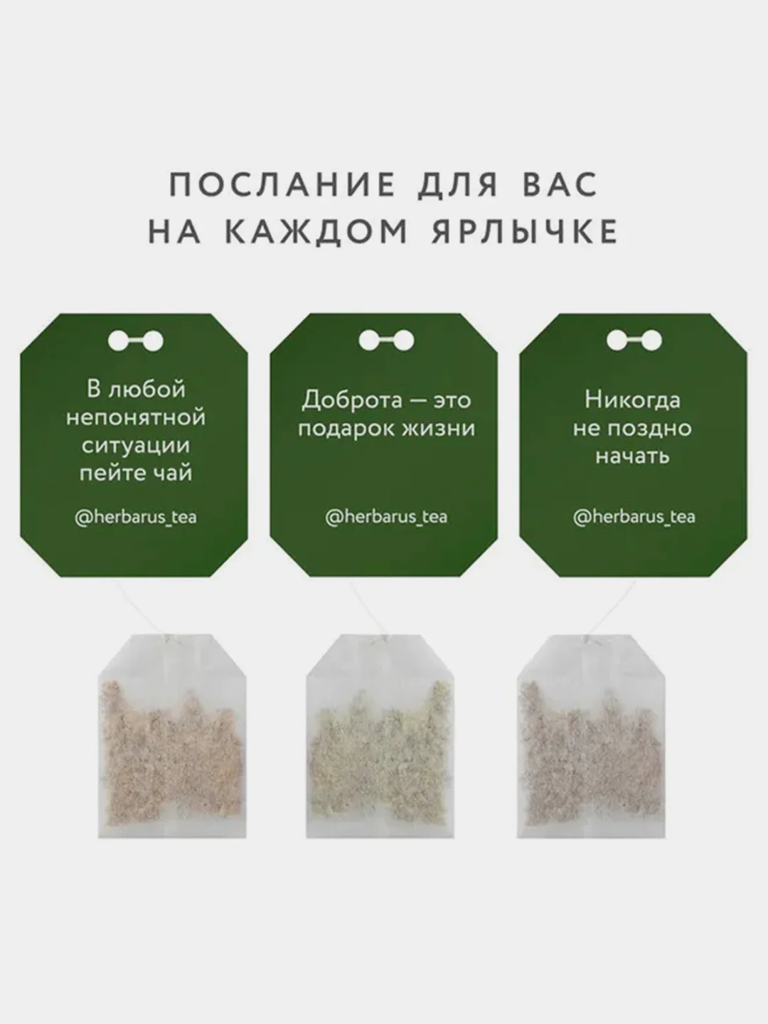 Чай черный Herbarus "Шиповник Гибискус", с добавками, 24 пакетика