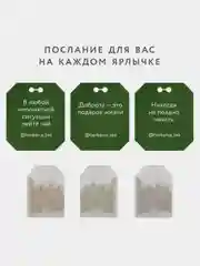 Чай улун с ароматными травами Herbarus "Мята. Мелисса", 24 пакетика
