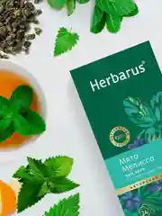 Чай улун с ароматными травами Herbarus "Мята. Мелисса", 24 пакетика