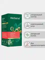 Чай зеленый Herbarus, Имбирь Мята, с добавками, 24 пакетика