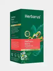 Чай зеленый Herbarus, Имбирь Мята, с добавками, 24 пакетика