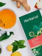 Чай зеленый Herbarus, Имбирь Мята, с добавками, 24 пакетика
