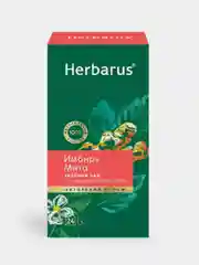 Чай зеленый Herbarus, Имбирь Мята, с добавками, 24 пакетика