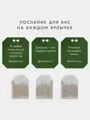 Чай зеленый Herbarus, Имбирь Мята, с добавками, 24 пакетика