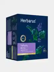 Чай черный Herbarus, Чабрец Мята, с добавками, 100 пакетиков