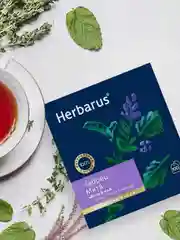 Чай черный Herbarus, Чабрец Мята, с добавками, 100 пакетиков