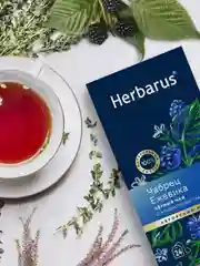 Чай черный Herbarus, "Чабрец Ежевика", с добавками, 24 пакетика