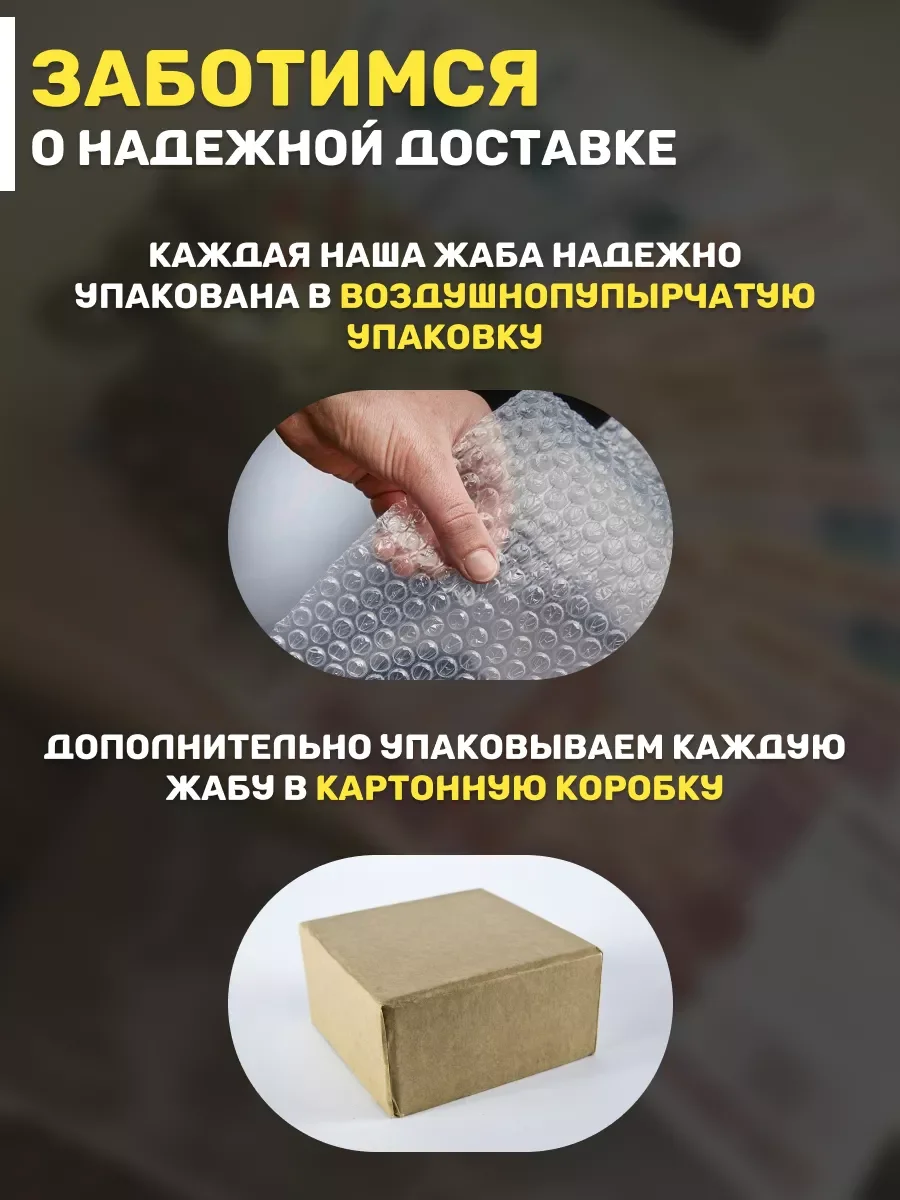 Денежная жаба с монеткой талисман богатства, фен-шуй