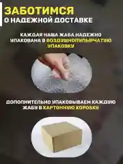 Денежная жаба с монеткой талисман богатства, фен-шуй