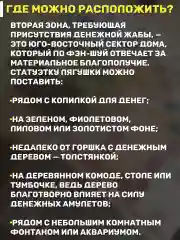 Денежная жаба с монеткой талисман богатства, фен-шуй