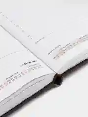 Ежедневник датированный 2025 Brauberg, планер планинг записная книжка А5, под кожу