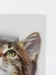 Наклейка интерьерная 3D "Кошка" на стену, 25 х 17 см, влагостойкая, ПВХ