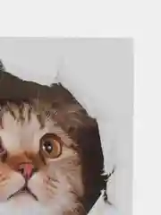 Наклейка интерьерная 3D "Кошка" на стену, 25 х 20 см, влагостойкая, ПВХ