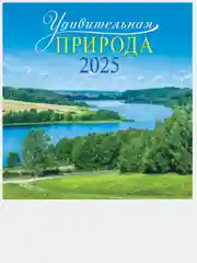 Темно-синий перекидной настенный календарь на скрепке на 2025 год. 70 видов