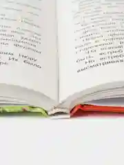 Приключения Васи Куролесова Ю. Коваля. Школьная программа