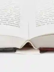Джейн Эйр. Внеклассное чтение. Школьная программа