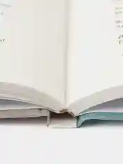 Детский остров С. Черного. Школьная программа