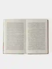 Джейн Эйр. Внеклассное чтение. Школьная программа
