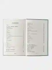 Детский остров С. Черного. Школьная программа