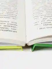 Премудрый пискарь. Внеклассное чтение. Школьная программа