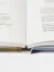 Золотой век русской поэзии. Школьная программа