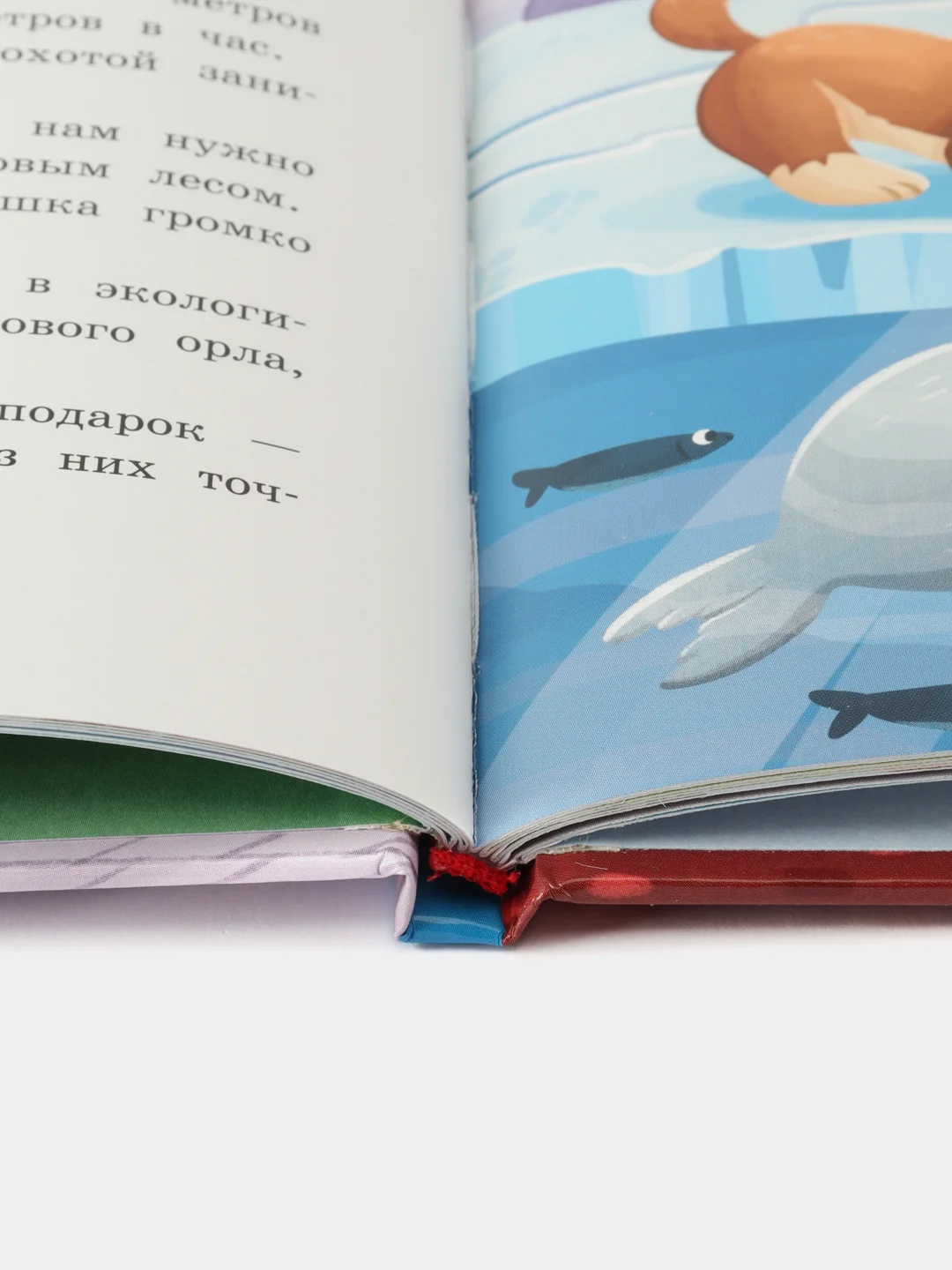 Путешествие по России