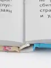 Лесное эхо Г. Скребицкого. Школьная программа