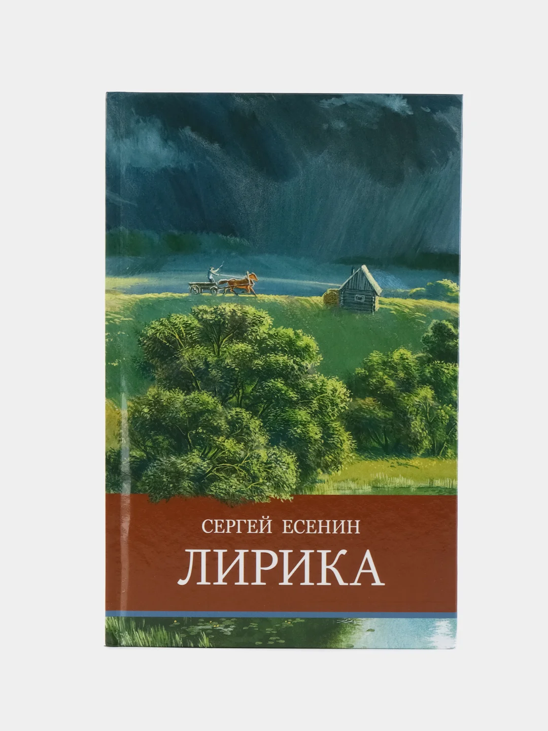 Лирика. Внеклассное чтение. Школьная программа