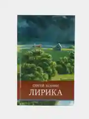Лирика. Внеклассное чтение. Школьная программа
