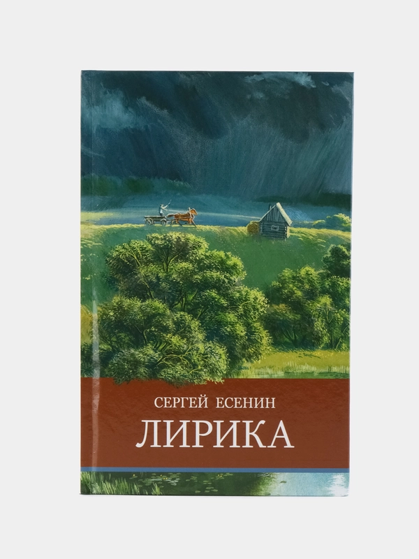 Лирика. Внеклассное чтение. Школьная программа