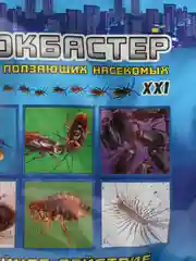 Дуст от тараканов и других ползающих насекомых "Блокбастер ХХI" 100 г