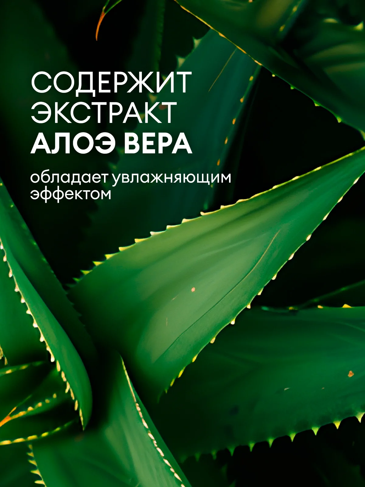 Шампунь для волос, гель для душа GRASS Room 2 в 1, 5 л, женский, мужской гель для душа