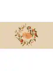 Оранжевый корзина для игрушек "Лиса, лисичка, лис..." 45л