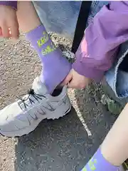Пурпурный высокие носки, женские 1 пара