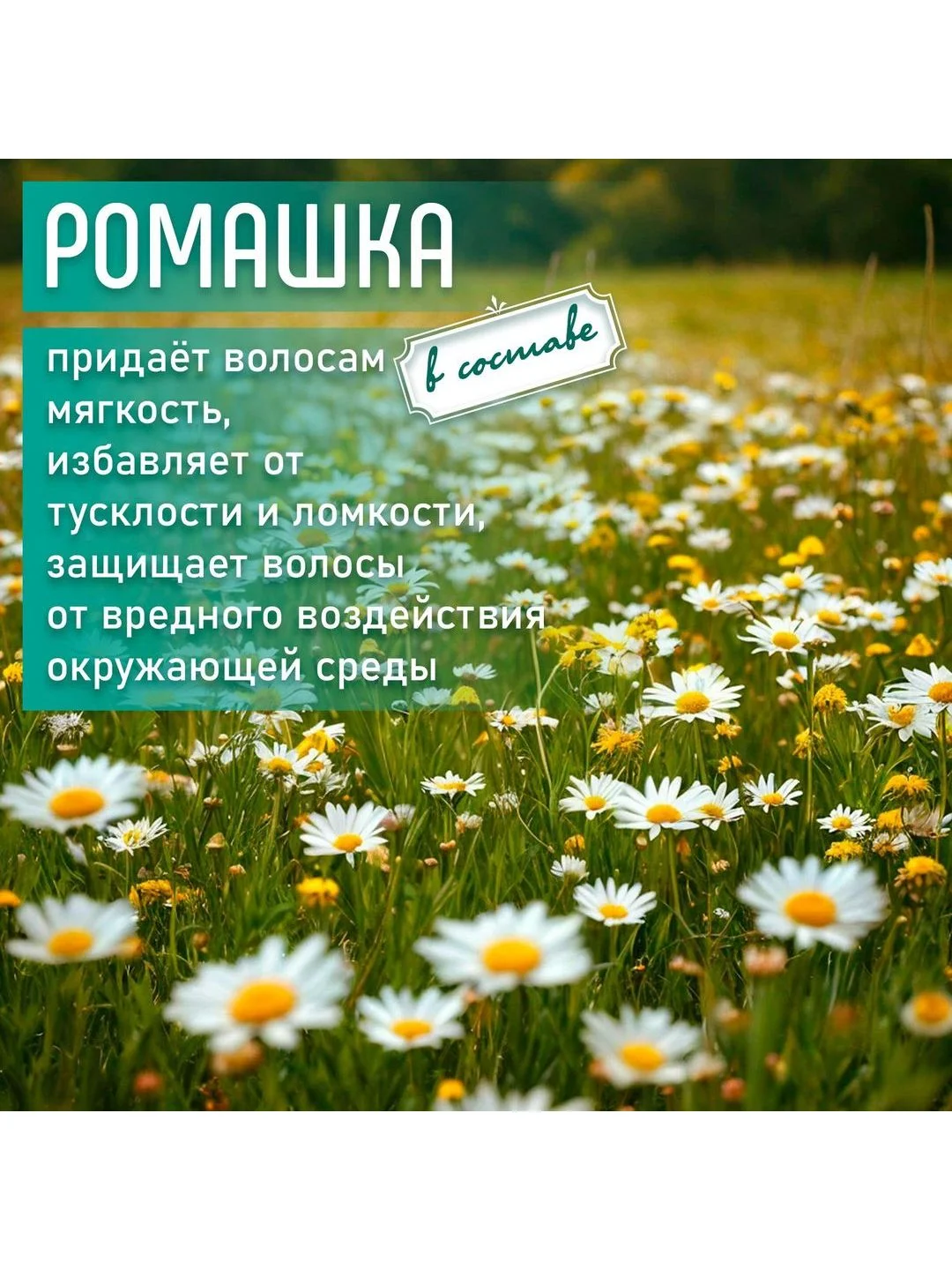 Бальзам для всех типов волос "Луговой букет" 950мл