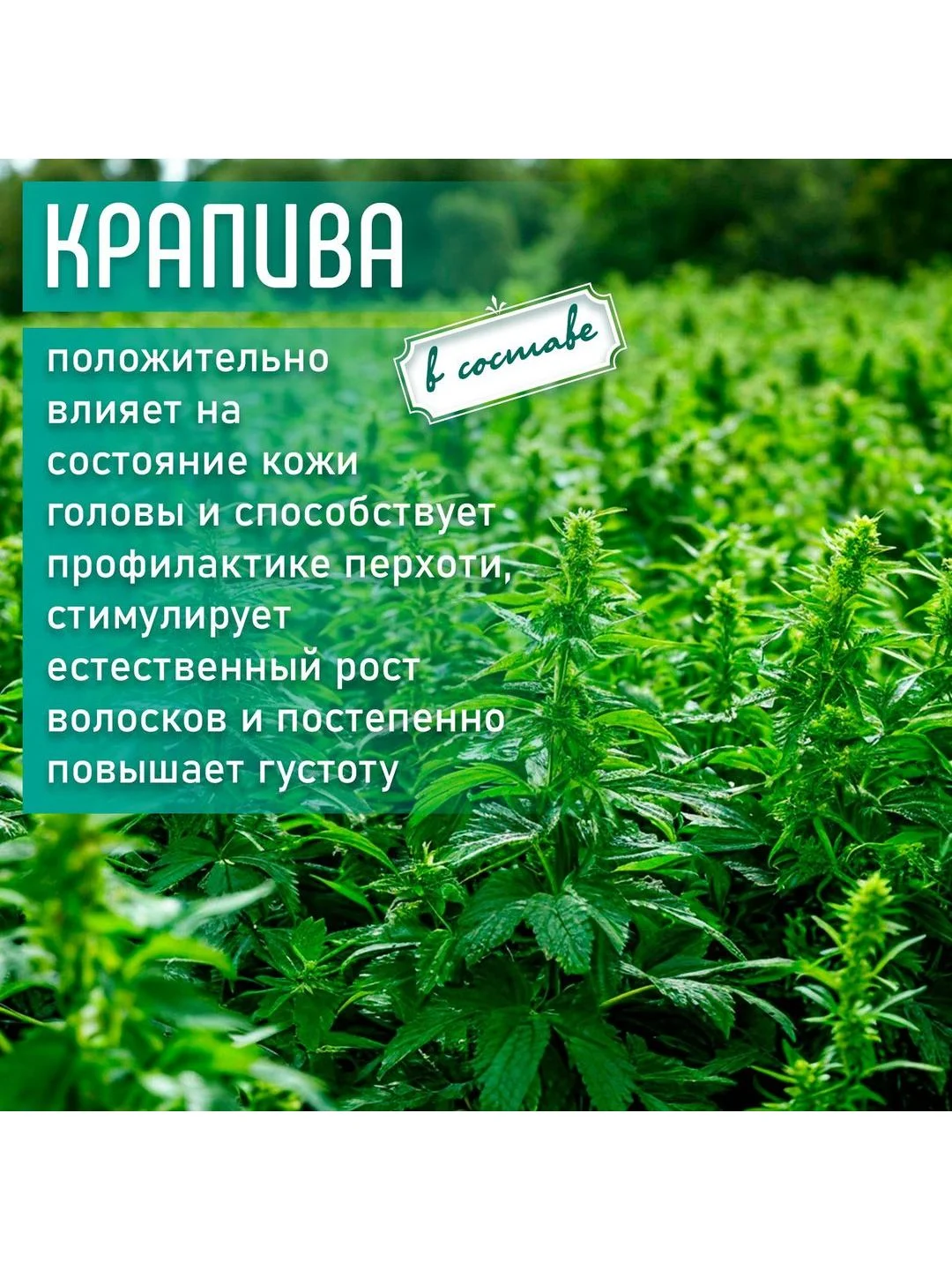 Шампунь для всех типов волос "Луговой букет" 950 мл