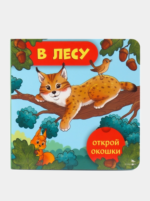 В лесу. Открой окошки