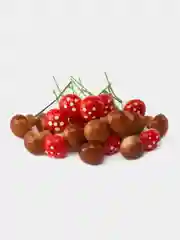 Искусственные грибы, муляж для поделок и рукоделия, набор: 10 коричневых и 10 мухоморов
