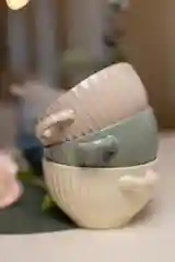 Разноцветный набор бульонниц с ручками 6 штук