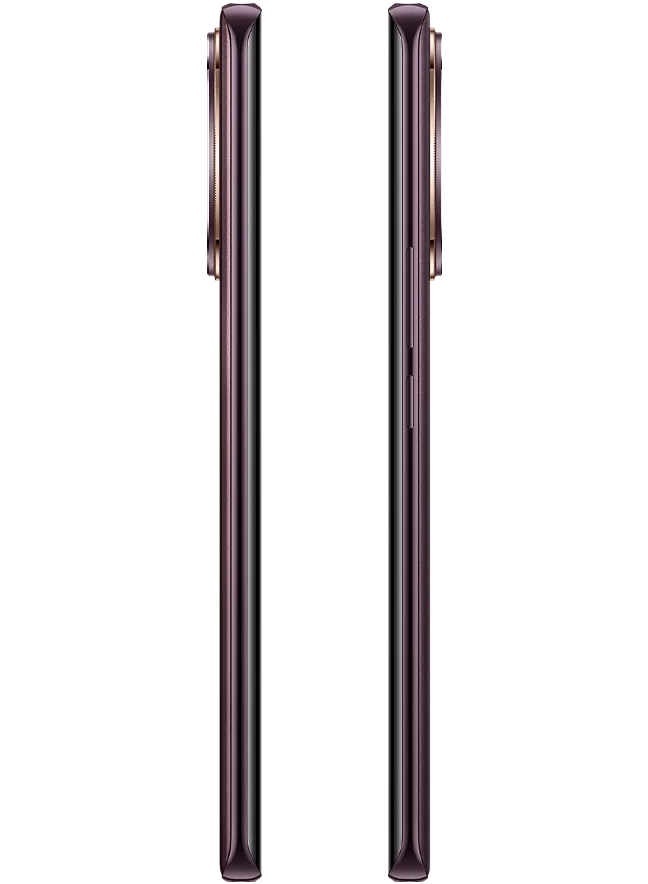 Коричневый смартфон V30e 256Гб, 12ГБ ОЗУ, AMOLED, 6.78" (2400x1080), 50 МП, 120 Гц, 5500 мАч, 4K, 5G