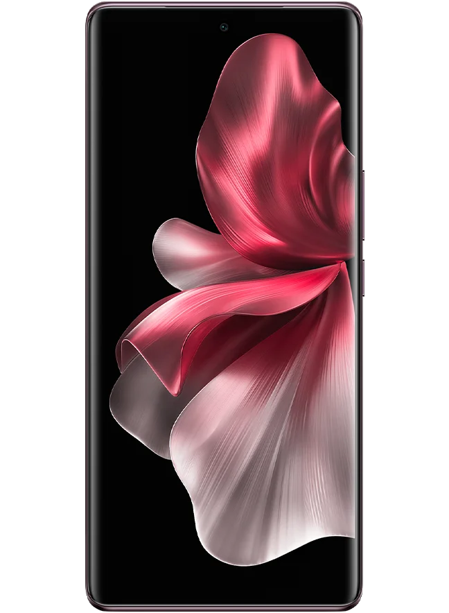 Коричневый смартфон V30e 256Гб, 12ГБ ОЗУ, AMOLED, 6.78" (2400x1080), 50 МП, 120 Гц, 5500 мАч, 4K, 5G