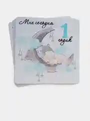 Карточки для фотосессии малыша "Малыш на Луне"