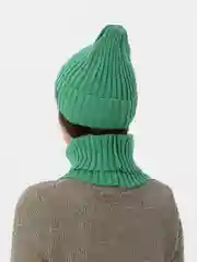 Зеленый шапка со снудом